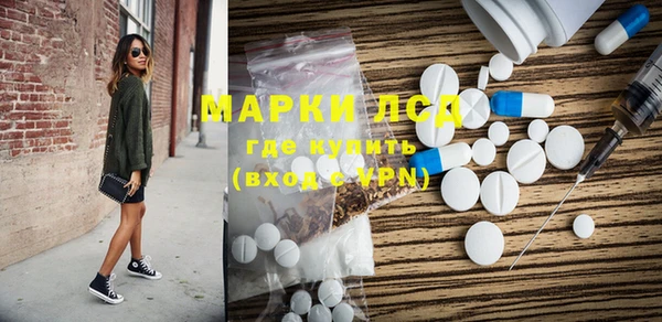 ПСИЛОЦИБИНОВЫЕ ГРИБЫ Алексин