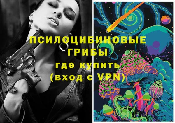 ПСИЛОЦИБИНОВЫЕ ГРИБЫ Алексин