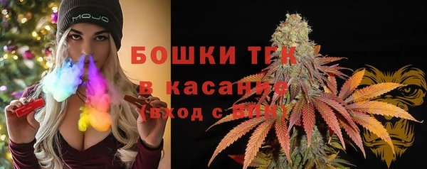 ПСИЛОЦИБИНОВЫЕ ГРИБЫ Алексин