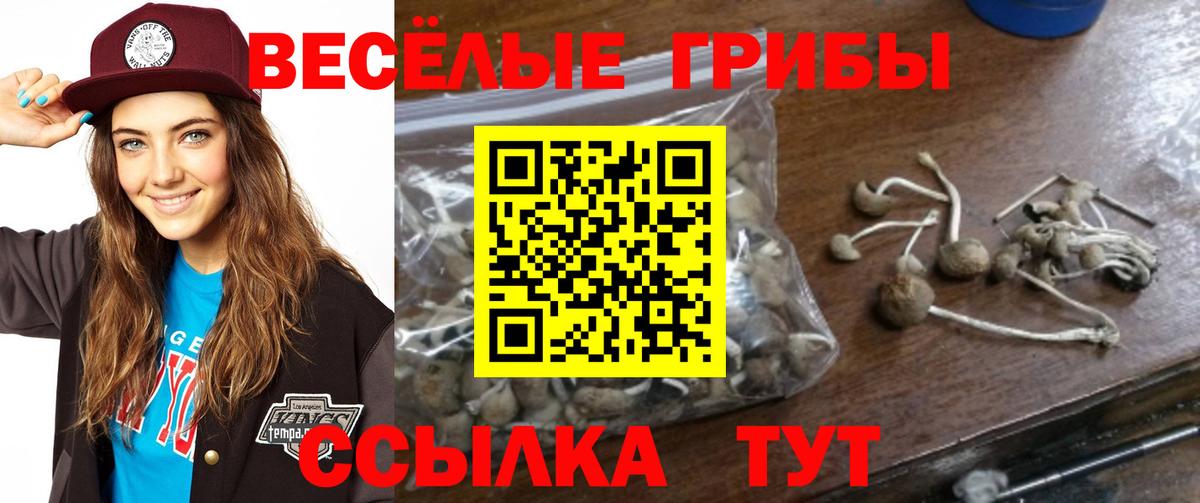 Галлюциногенные грибы Magic Shrooms Слободской